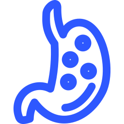 Stomach icon