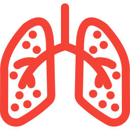 Lungs icon