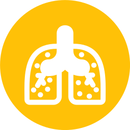 Lungs icon