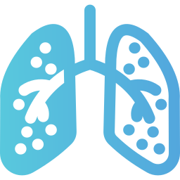 Lungs icon