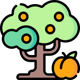 Peach tree icon