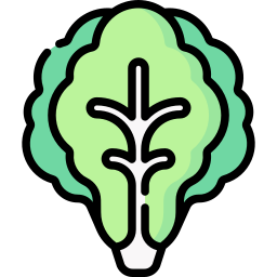 Lettuce icon