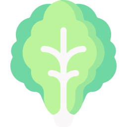 Lettuce icon