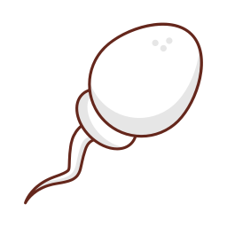 les spermatozoïdes Icône