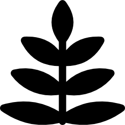 양치류 icon