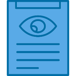 Company vision icon