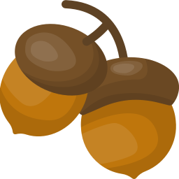 Acorn icon