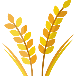 pianta di grano icona