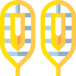 raquetas de nieve icono