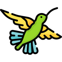 colibrì icona