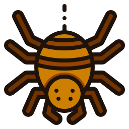 spinne icon