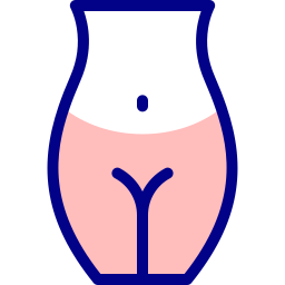 vagina Ícone