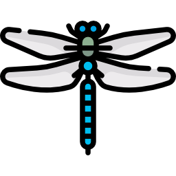 Dragonfly icon