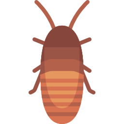 cucaracha silbante de madagascar icono