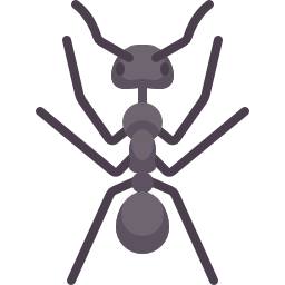 Ant icon