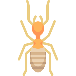 termite icona