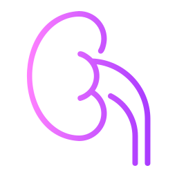 Kidney icon