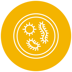 Bacteria icon