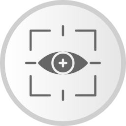 scan des yeux Icône