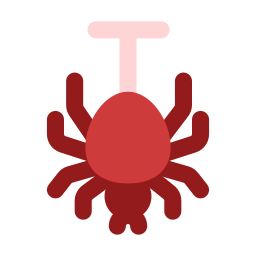 spinne icon