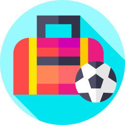 Sport bag icon