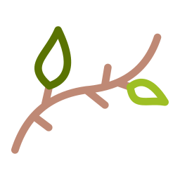 Branch leaves icon