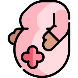 Obstetrics icon