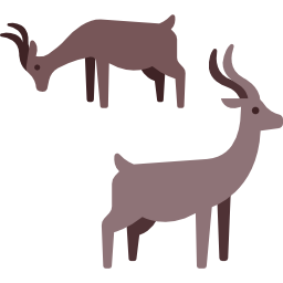 antilope icon