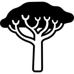 marula icona