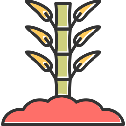 Bamboo icon