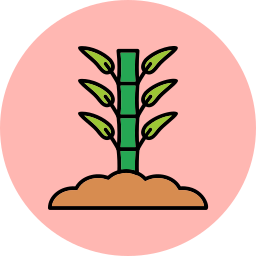 Bamboo icon