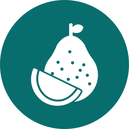 Pomelo icon