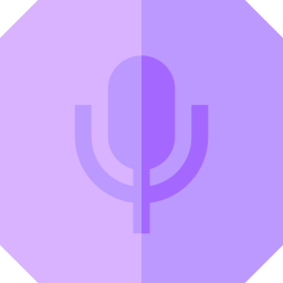 audio icon