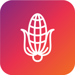 Corn icon