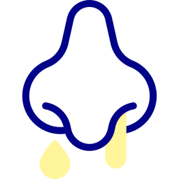 鼻水 icon