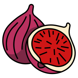 Fig icon