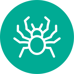 spinne icon