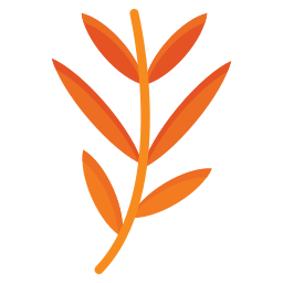 Branch leaves icon