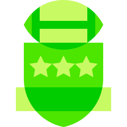 Badge icon