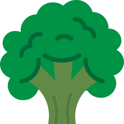 Broccoli icon