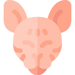 Sphynx Cat icon