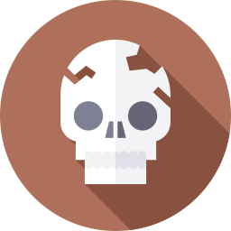 Skull icon