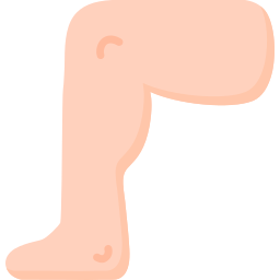 Leg icon