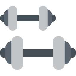 dumbell Icône