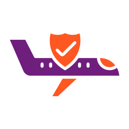 Safe flight icon