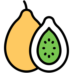 Guava icon