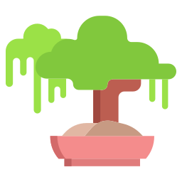 bonsai icoon