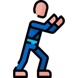 judo icoon