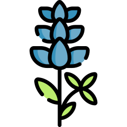 bluebonnet icon
