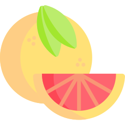 Texas red grapefruit icon